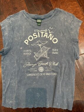 wild fable Washed Blue Positano Graphic Tee